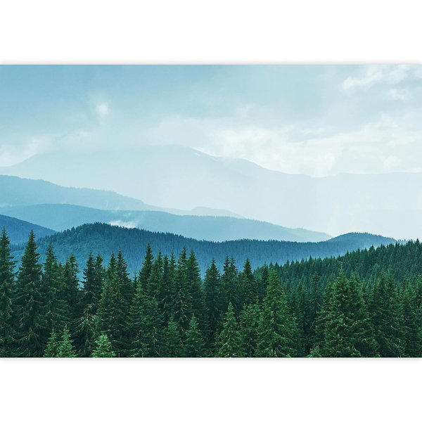 IDEA4WALL Peel & Stick Wall Mural Wayfair